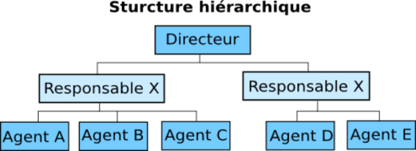 Avantages Et Inconvénients Des Principaux Types De Structure ...